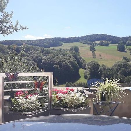 Gite Moderne Proche De Kaysersberg Av Jacuzzi Prive オルベ エクステリア 写真
