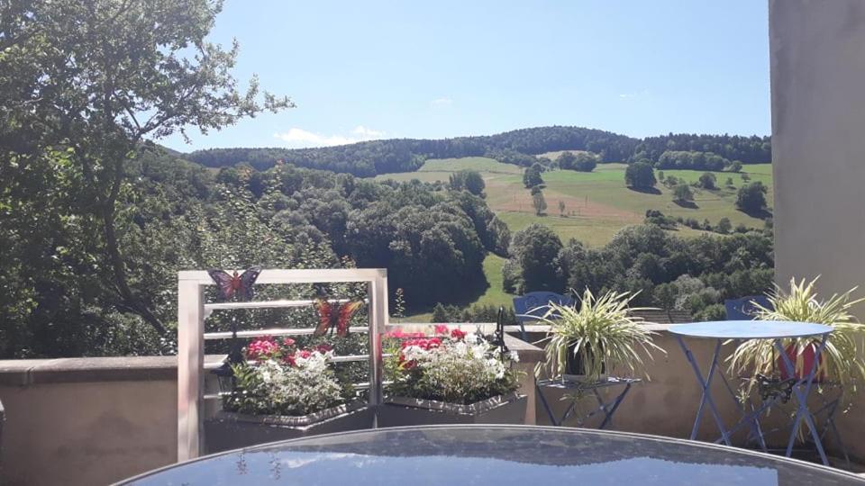 Gite Moderne Proche De Kaysersberg Av Jacuzzi Prive オルベ エクステリア 写真